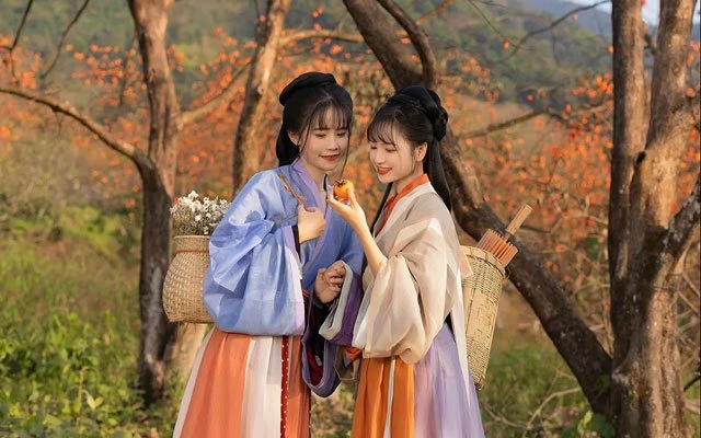 Harvest Autumn & Hanfu Girls