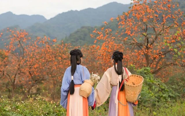 Harvest Autumn & Hanfu Girls