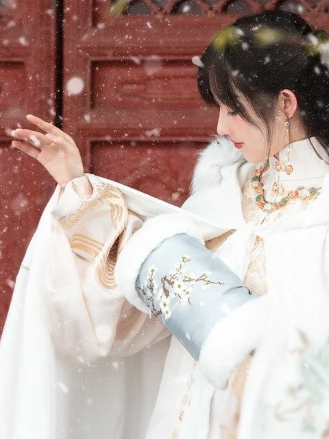 5 Hanfu Accessories for the Cold Winter - Warm & Adorable 7