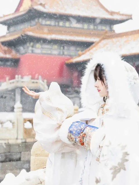 5 Hanfu Accessories for the Cold Winter - Warm & Adorable 8