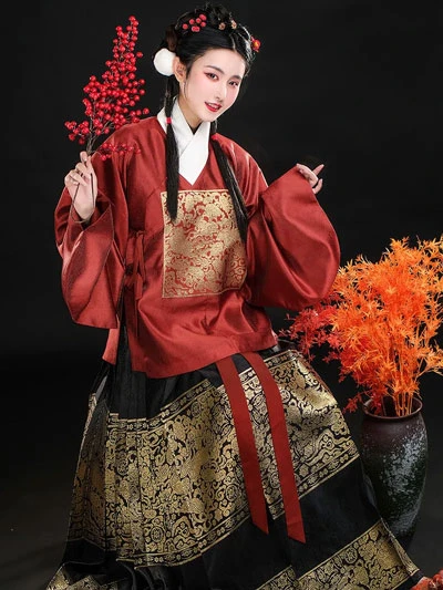5 Kind of Beauty Traditional Chinese Clothing for Female 27