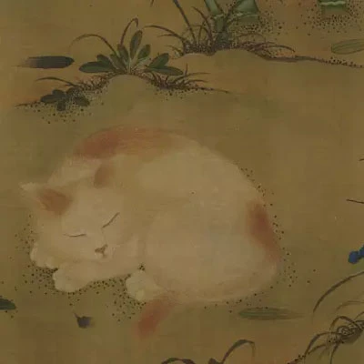 Cute Hanfu Suitable for Those Who Like the Cat 12