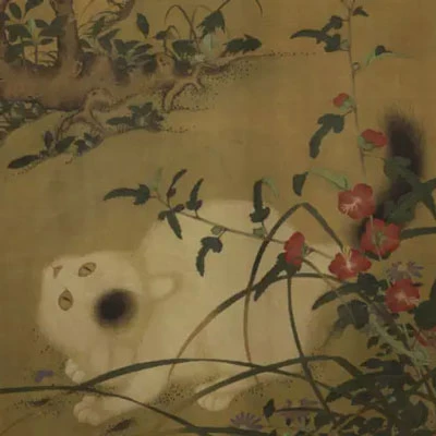 Cute Hanfu Suitable for Those Who Like the Cat 13