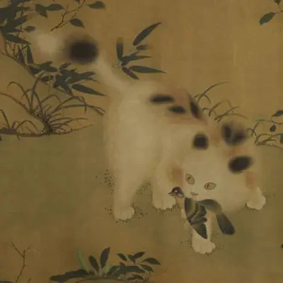 Cute Hanfu Suitable for Those Who Like the Cat 14