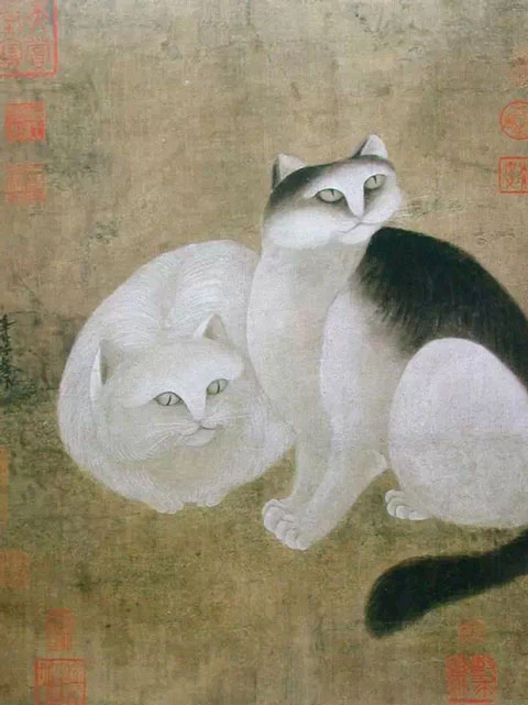 Cute Hanfu Suitable for Those Who Like the Cat 6