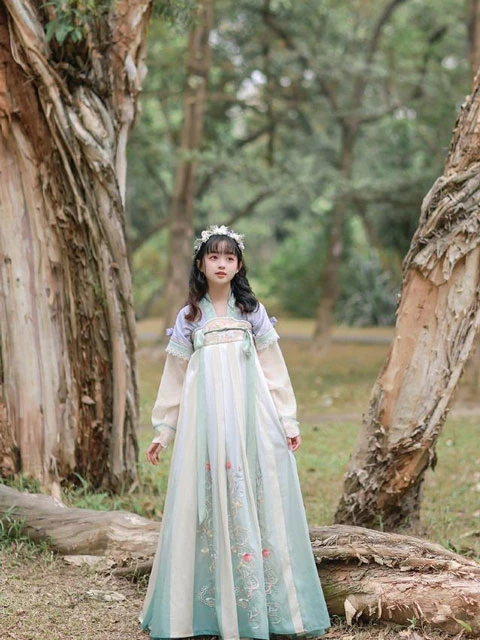 4 Stunning Tang Style Hanfu for Women That Look Pretty