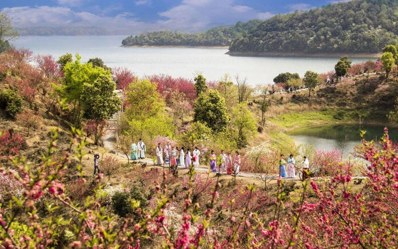 Flower Festival: The Most Beautiful Festival of Spring