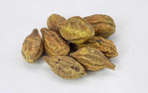 What is Hezi Qun - Origins and Types 2