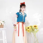 Blue Beizi hanfu shop