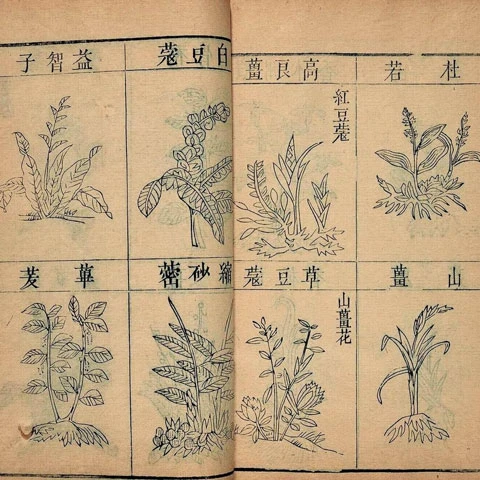 Technology and Science in Ancient China