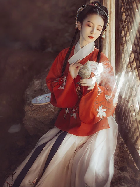Guide of the Ming Dynasty Shan/Ao Types for Girls 4