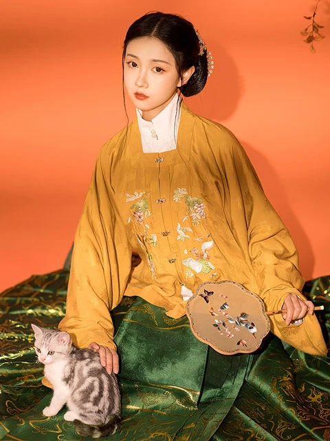 Guide of the Ming Dynasty Shan/Ao Types for Girls 49