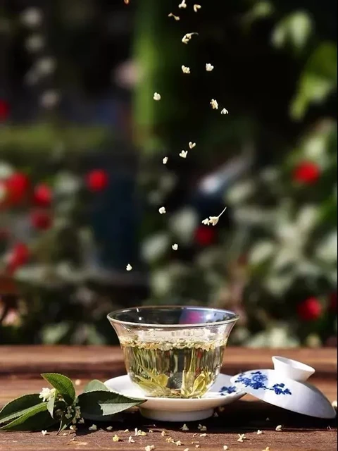 How Did Osmanthus Fit Into the Life of the Ancients? 6