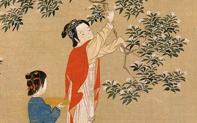 How Did Osmanthus Fit Into the Life of the Ancients?