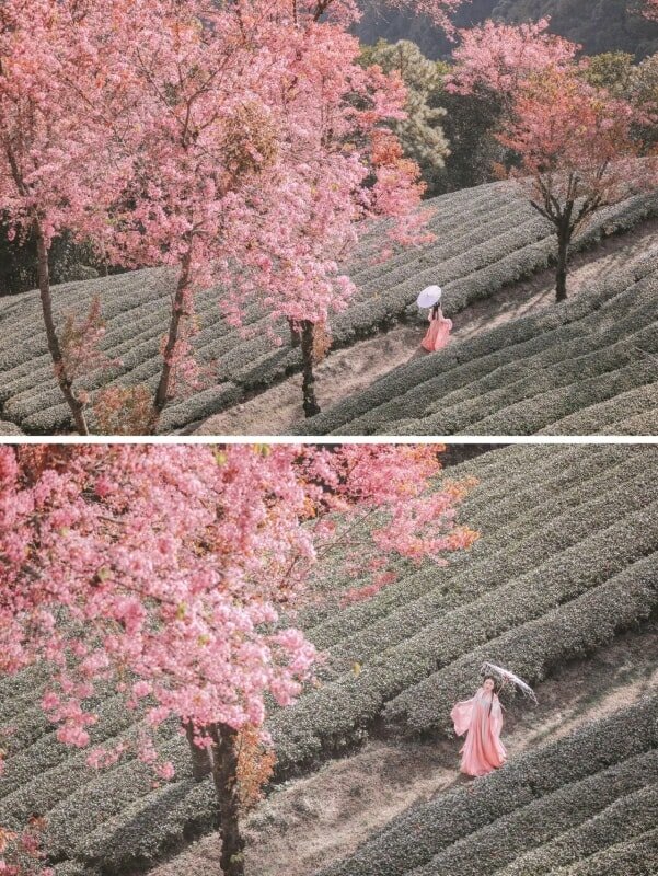 The Winner of Share Hanfu Moments, 2021 Q4 181