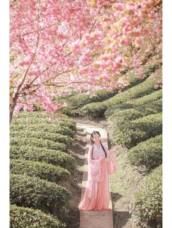 The Winner of Share Hanfu Moments, 2021 Q4 179