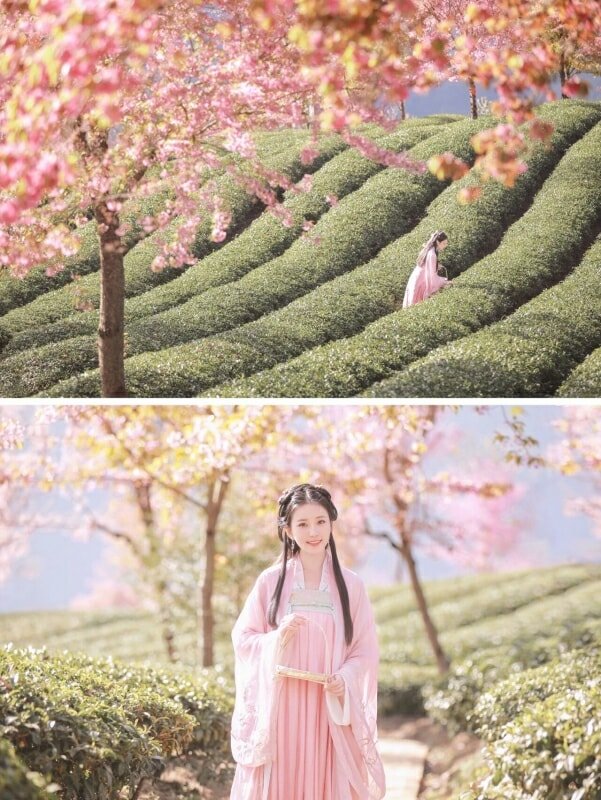The Winner of Share Hanfu Moments, 2021 Q4 177
