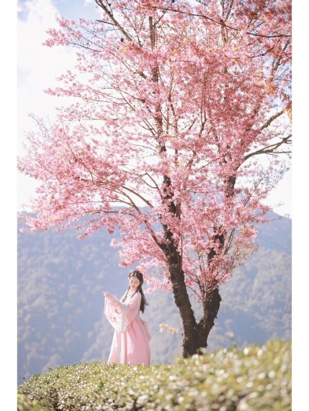 The Winner of Share Hanfu Moments, 2021 Q4 174