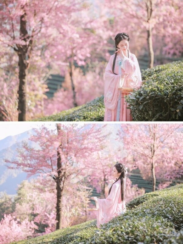 The Winner of Share Hanfu Moments, 2021 Q4 175