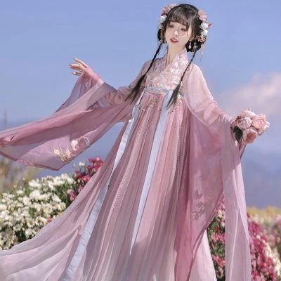 Ladies Qixiong Shanqun North and South Dynasty Hanfu Style Embroidered Large Sleeve Skirt