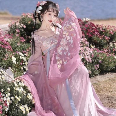 Ladies Qixiong Shanqun North and South Dynasty Hanfu Style Embroidered Large Sleeve Skirt