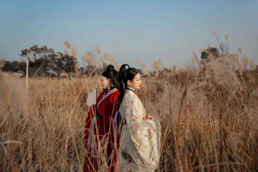 Ling — Community Archive 738