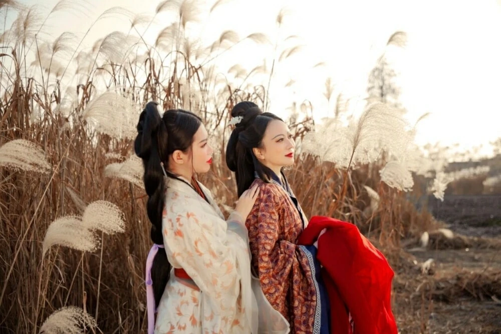 Ling — Community Archive 737