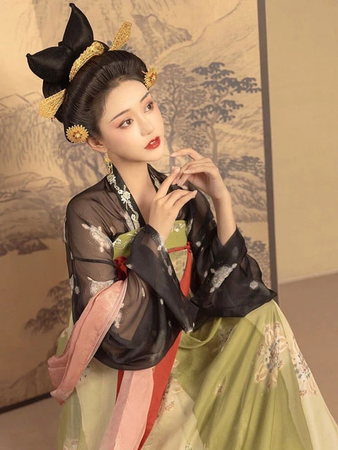 Tang Dynasty hanfu with crossed collar and wide sleeves