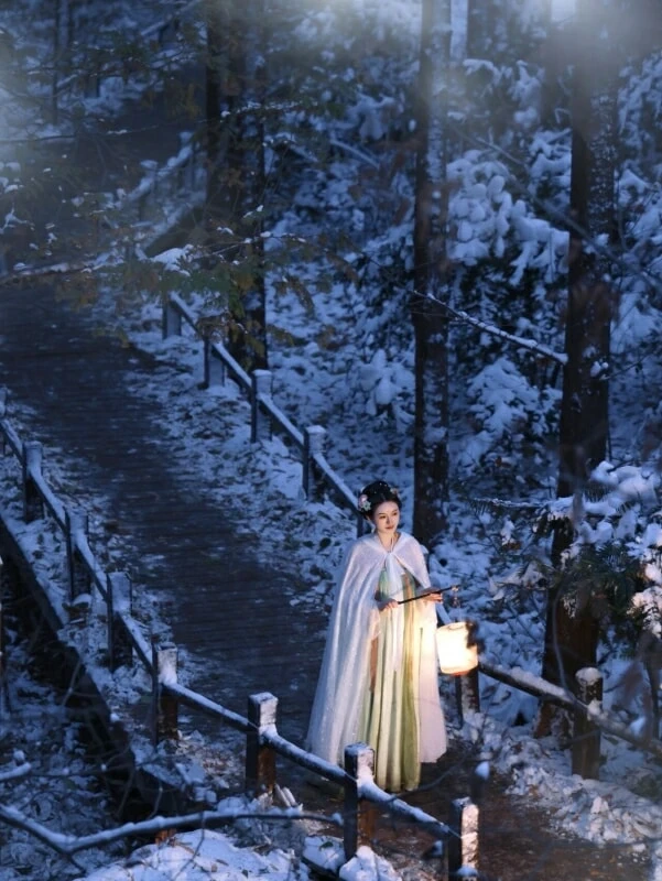 Taking Pictures of Ming Style Hanfu in the Forbidden City 235