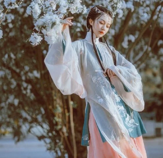 Recognizing Iconic Hanfu Styles From 6 Key Dynasties 2