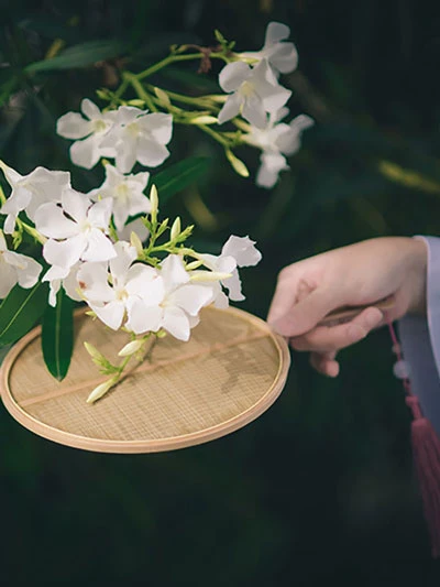 3 Best Color for Your Hanfu Summer Dress