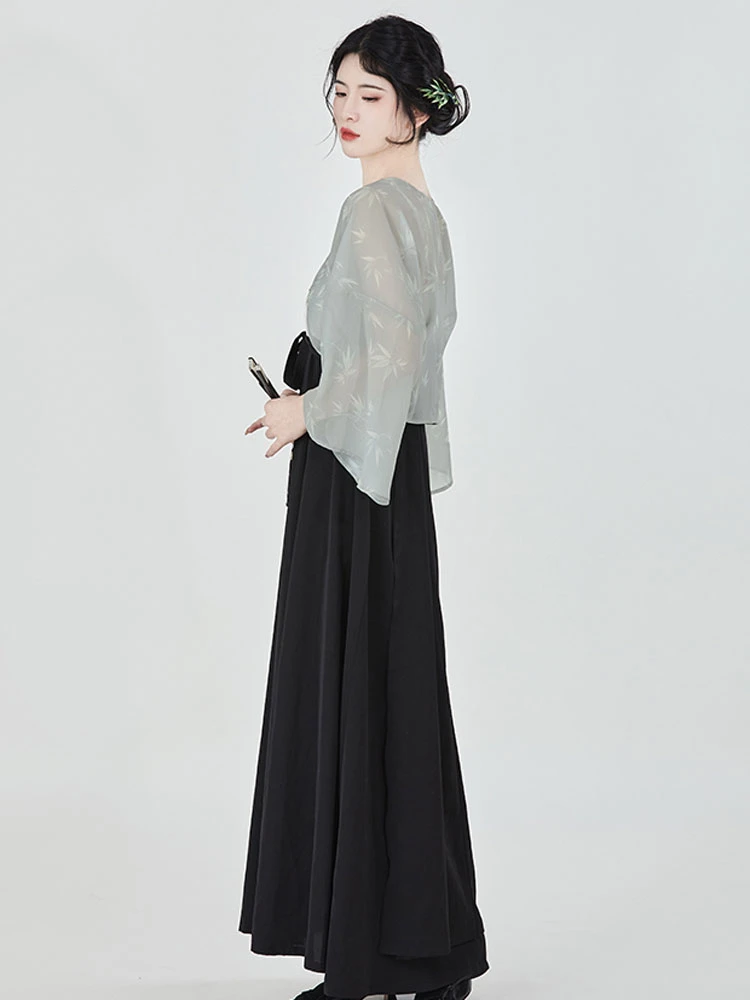 March Swallow Women Modern Hanfu