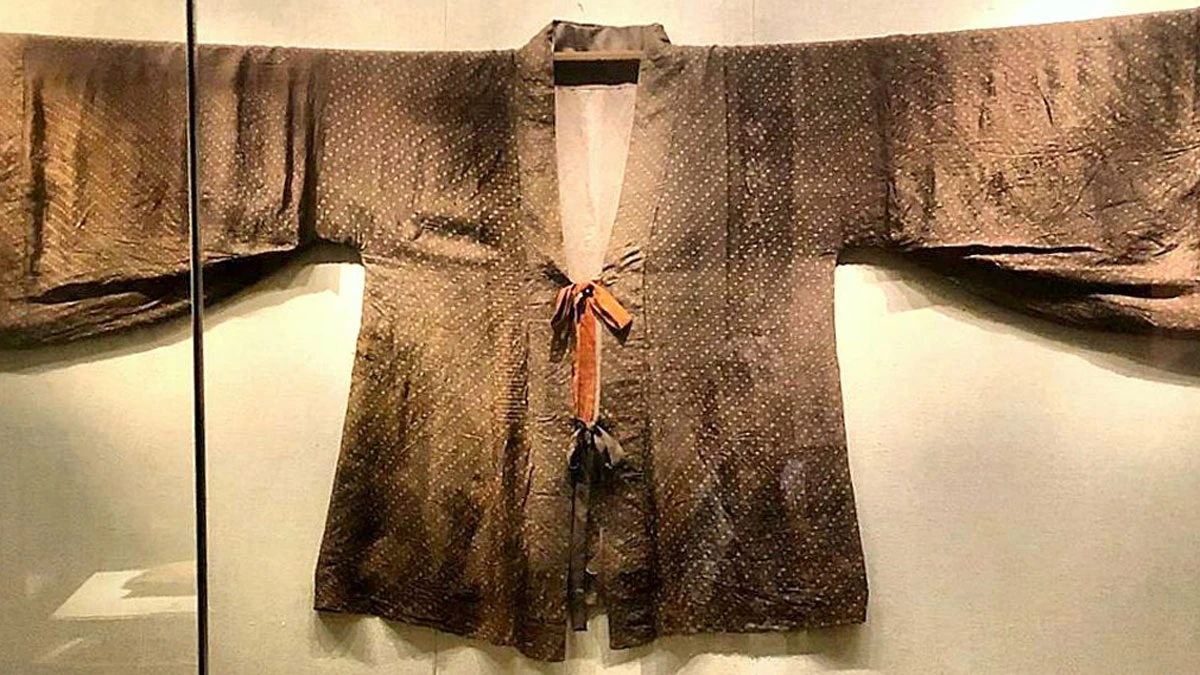 Hanfu Unearthed III: Wei/Jin and Northern/Southern Dynasty Relics