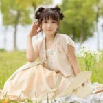 summer vine hanfu dress