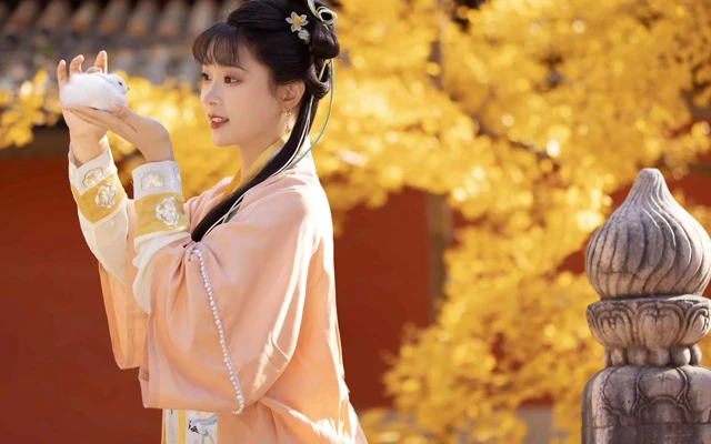 Autumn Chinese Clothing Hanfu Style