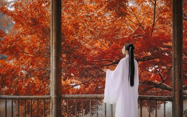 Autumn Chinese Clothing Hanfu Style