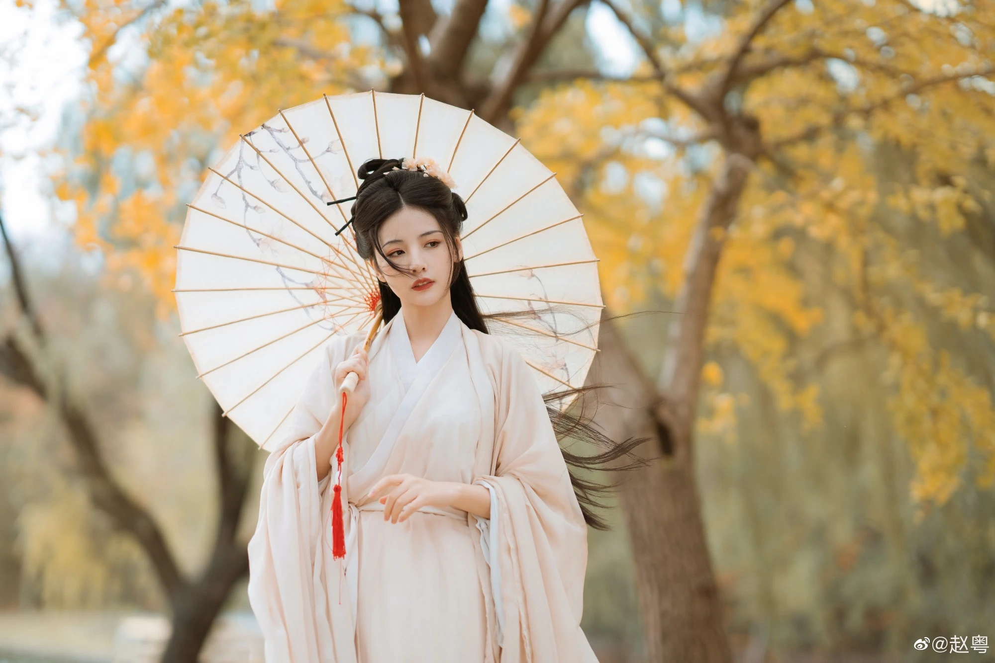 xiaomingyue — Community Archive 18