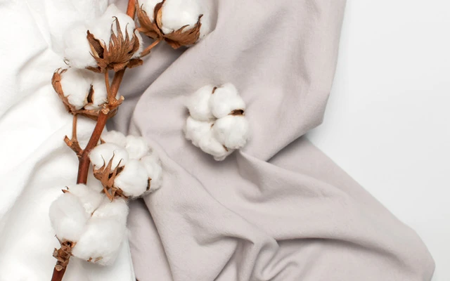 The Fabrics of Hanfu: Fibers and Weaves