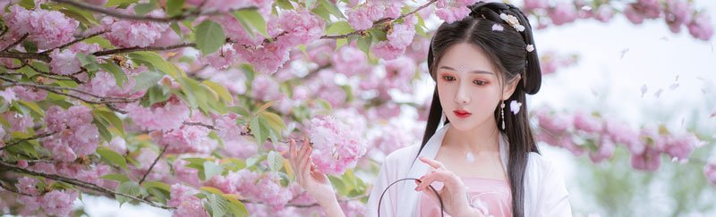 How did the Hanfu change per dynasties?