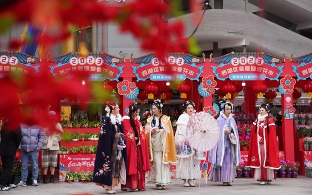 New Gestures of Hanfu Dissemination 5