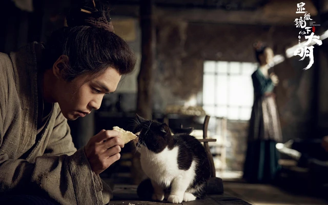 Review of New Historical Drama: Under the Microscope 11
