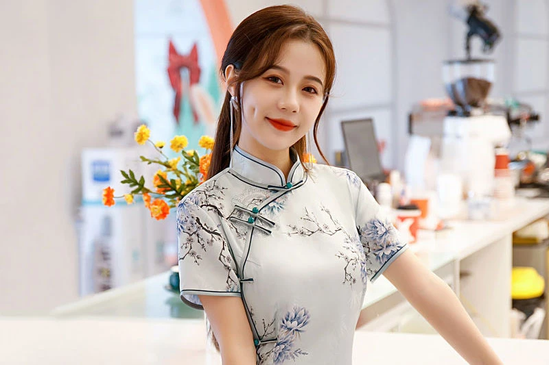 modern qipao fashion cheongsam dress