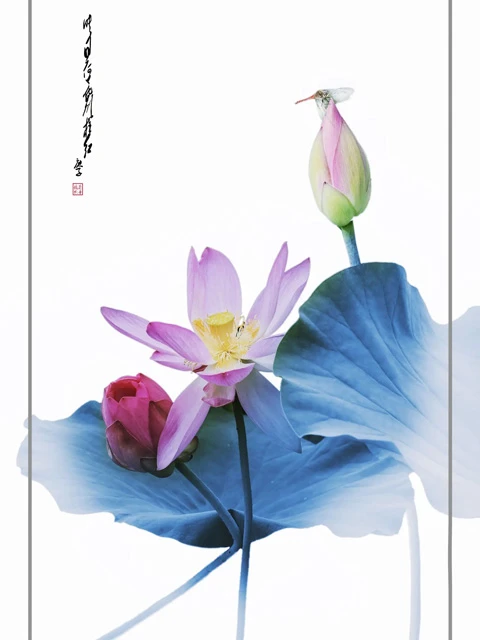 A Brief History of the Lotus Pattern in Traditional Chinese Culture