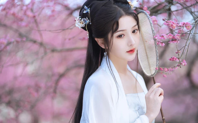 Modern Hanfu Promotion: Discussion on Challenges and Controversies