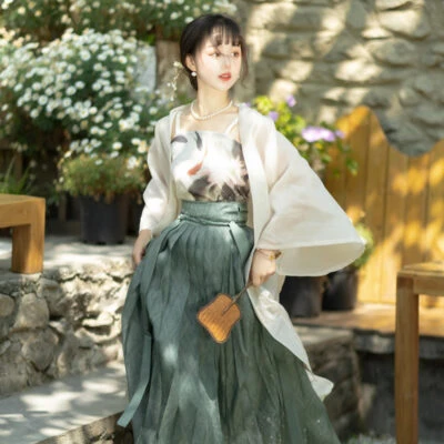 Summer Women Modern Hanfu Song Dynasty Daily Costume