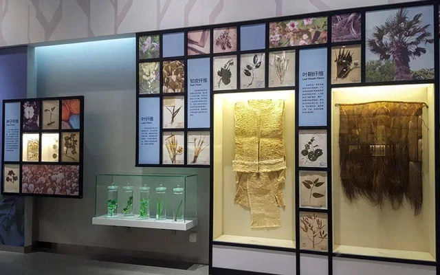 Top 20 Must-Visit China Museums: A Journey Through History and Culture