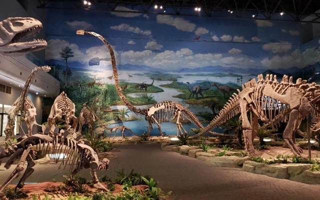 Top 20 Must-Visit China Museums: A Journey Through History and Culture