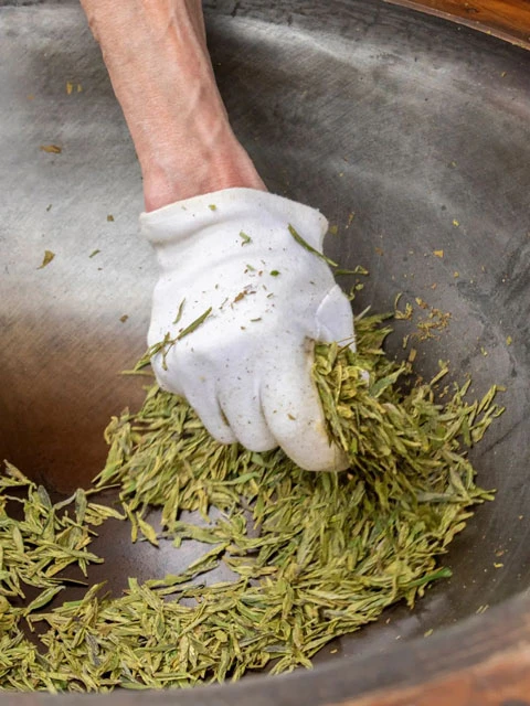 The Evolution of Three Chinese Tea Ceremonies: From Tang Dynasty to Modern Times
