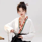 Women Mamian Skirt Ming Dynasty Modified Hanfu for Everyday Wear