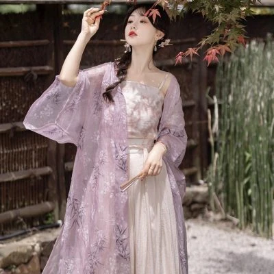 Song Dynasty Women's Hanfu Daily Commuter Casual Style Dresses